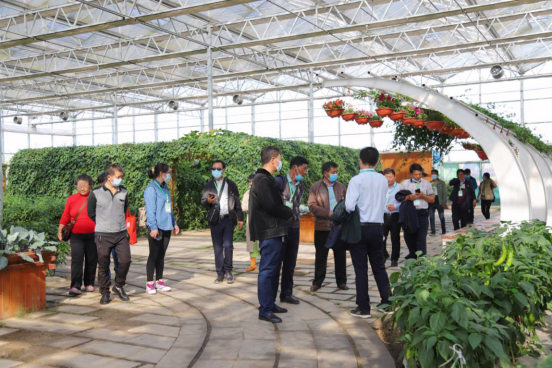 和县第十二届蔬菜博览会暨第七届农业嘉年华盛大开幕 缤纷休闲观光活动引领田园新风尚