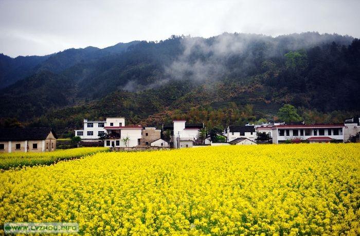 秀美江西&mdash;&mdash;2011年4月2-6日 婺源-三清山休闲观光活动[第2期](已爆满
