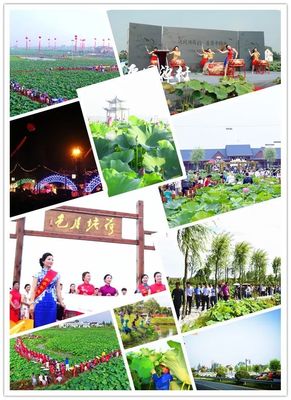 又双叒叕入选了！平园池再获两个省级荣誉！休闲观光活动的卓越典范