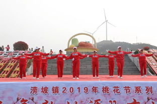 涝坡镇2019年“山水涝坡·醉美桃花”桃花节暨休闲观光活动圆满闭幕